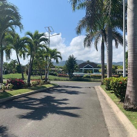 Nature'S Choice Home Richmond Palms, Jamaica Exterior photo